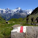 Schutzenbach Backpackers For Adults 18-34 Years Only لوتربرونن