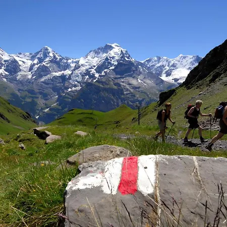 Schutzenbach Backpackers For Adults 18-34 Years Only Lauterbrunnen