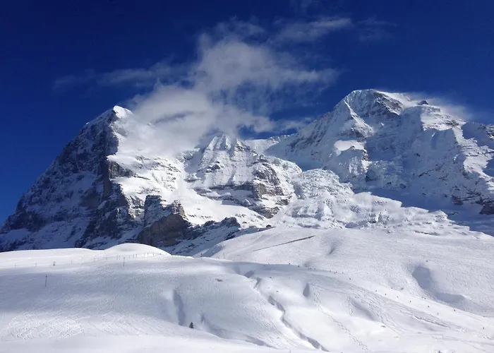 ホステル Schutzenbach Backpackers For Adults 18-34 Years Only *