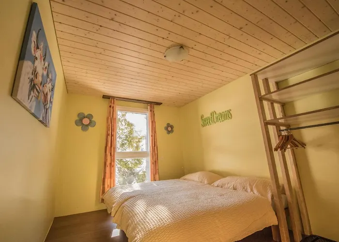 ホステル Schutzenbach Backpackers For Adults 18-34 Years Only