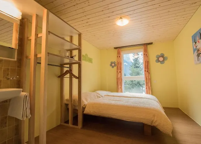 Schutzenbach Backpackers For Adults 18-34 Years Only ホステル *