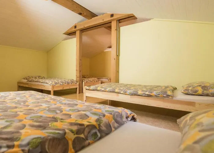 ホステル Schutzenbach Backpackers For Adults 18-34 Years Only