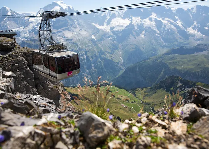 ホステル Schutzenbach Backpackers For Adults 18-34 Years Only *