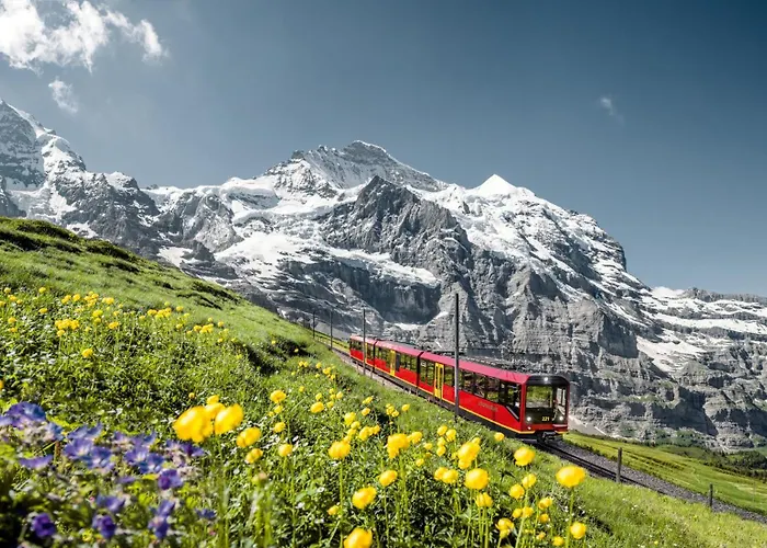 Schutzenbach Backpackers For Adults 18-34 Years Only ホステル *