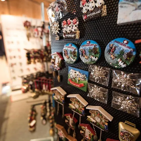 Schutzenbach Backpackers For Adults 18-34 Years Only ラウターブルンネン